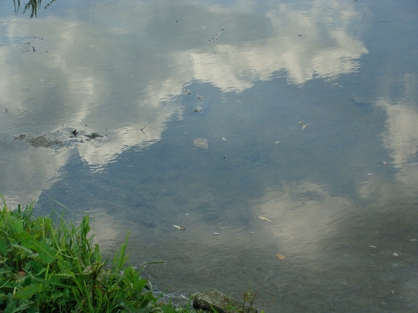 DSC01548