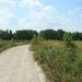 DSC01550