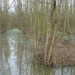 potpolder 2012 010