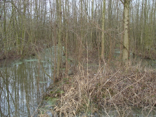 potpolder 2012 011
