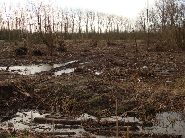 potpolder 2012 017(ABSURDISTAN)