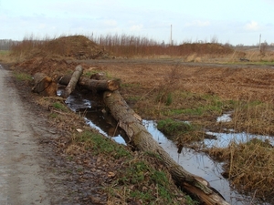 potpolder 2012 020