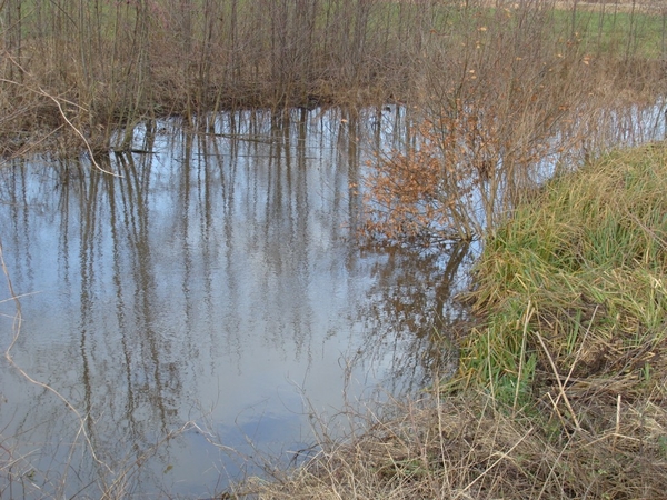 potpolder 2012 021