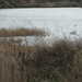 potpolder 2012 022