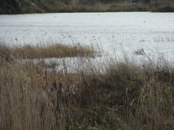 potpolder 2012 022