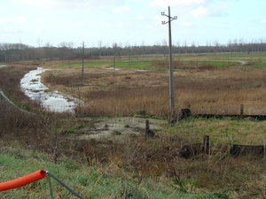 potpolder 2012 025