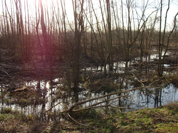 potpolder 2012 033