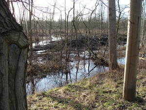 potpolder 2012 034