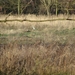 potpolder 2012 035