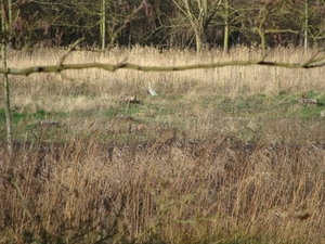 potpolder 2012 035