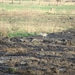 potpolder 2012 039