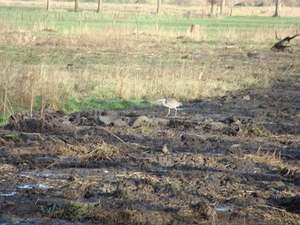 potpolder 2012 039