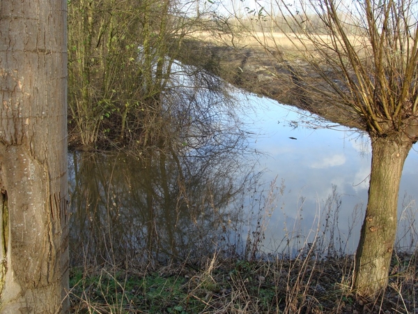 potpolder 2012 040 (Nu Nog Mooi)