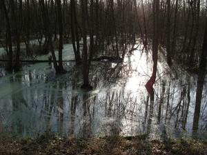 potpolder 2012 041