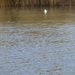 potpolder 2012 043