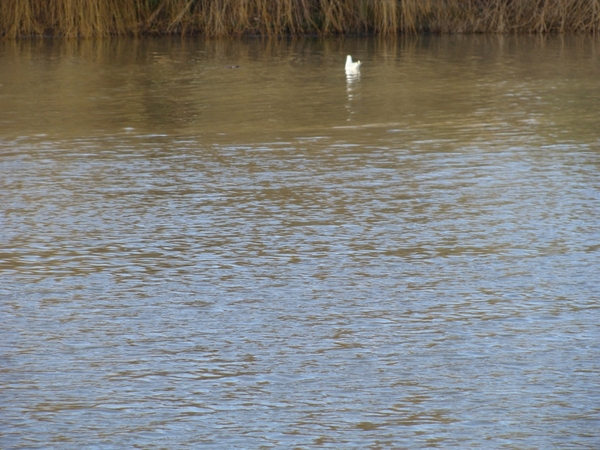 potpolder 2012 043