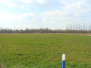 DSC00448