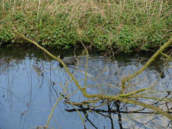 DSC00454