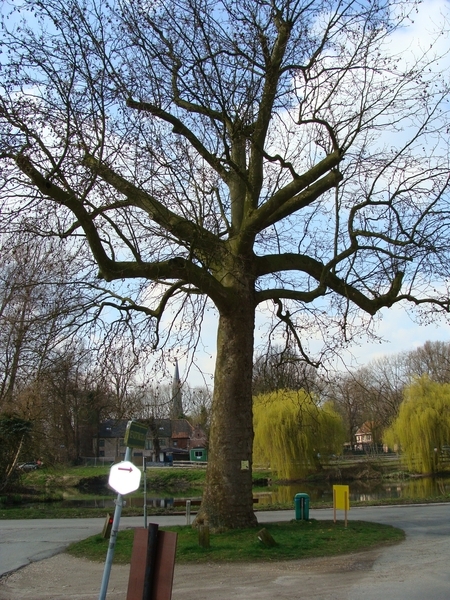 DSC00456
