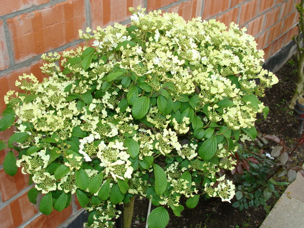 DSC00624