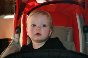 In de buggy