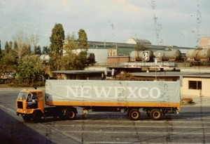 Newexco (3)