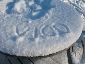 Provinciedomein in de sneeuw 009