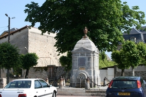 dor 010