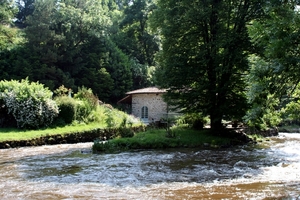 dor 017