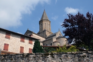 dor 019