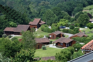 dor 029