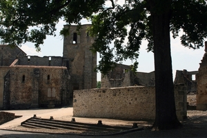 dor 071