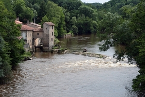 dor 151