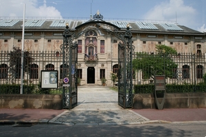 dor 242