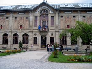 dor 243