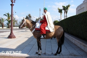 RABAT15