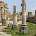 VOLUBILIS2