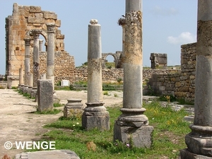 VOLUBILIS2