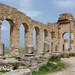 VOLUBILIS3