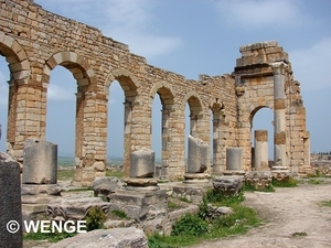 VOLUBILIS3