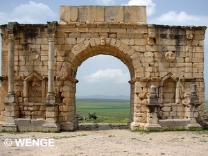 VOLUBILIS4