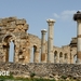 VOLUBILIS5