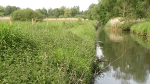 Molen Beek (Viersels Gebroekt)