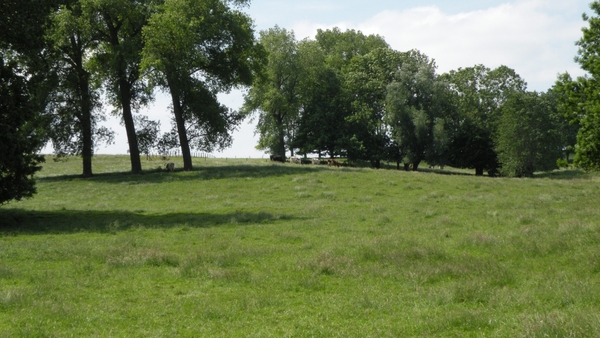 Vlaamse Ardennen