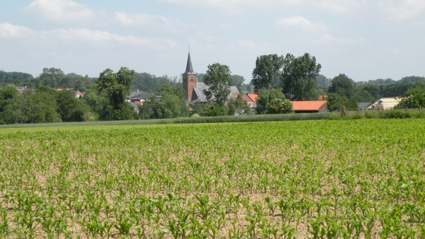 Vlaamse Ardennen (Everbeek-beneden)