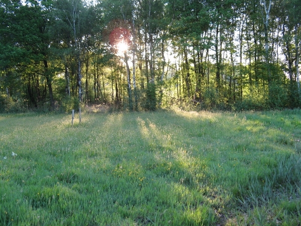 Vroege ochtend