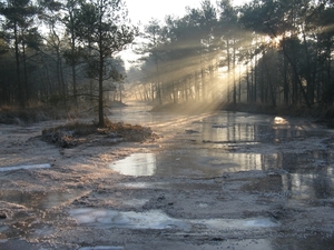 Winter in Klein Schietveld