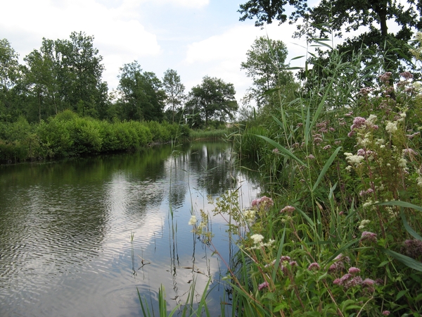 Poel in Lille