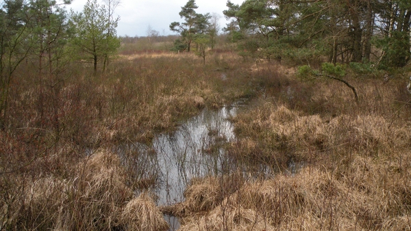 De Liereman in Oud Turnhout