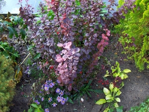 oktober 021